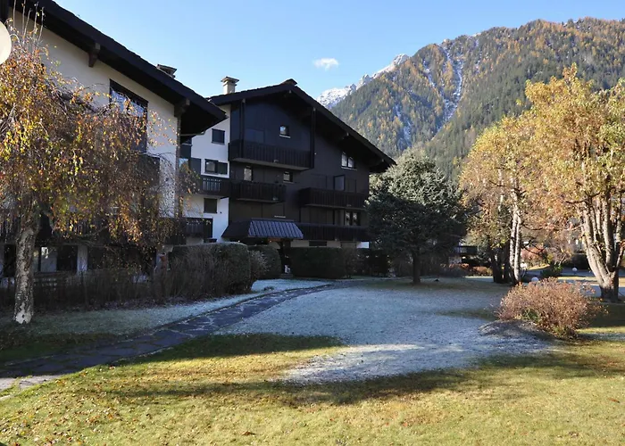 Confortable Renove En Verdoyante A - Fr-1-517-69 Chamonix